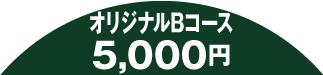 オリジナルBコース5,000円